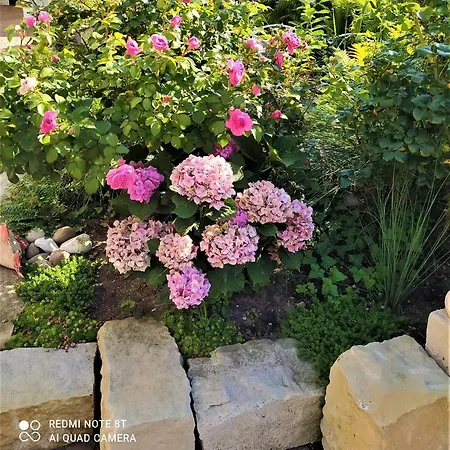 Kreativ Domizil Der Sinne דירה