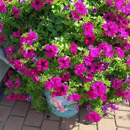 Kreativ Domizil Der Sinne Bad Liebenwerda