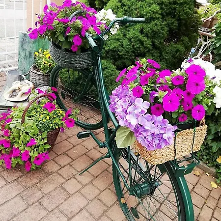 Kreativ Domizil Der Sinne * באד ליבנוורדה