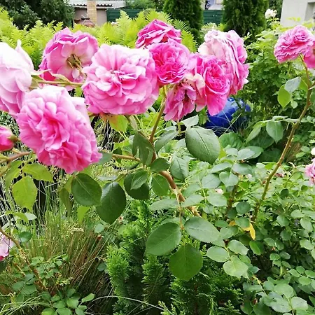 Kreativ Domizil Der Sinne