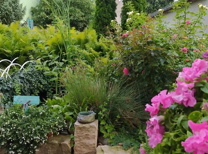 Kreativ Domizil Der Sinne Daire *