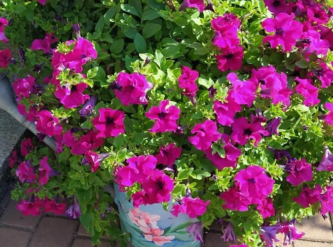 Kreativ Domizil Der Sinne Bad Liebenwerda