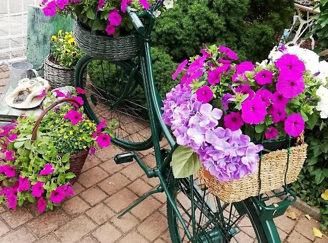 Kreativ Domizil Der Sinne * Bad Liebenwerda