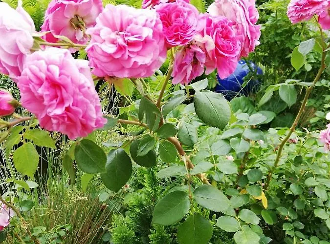 Kreativ Domizil Der Sinne